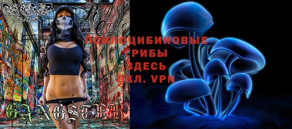 мдпв Абаза