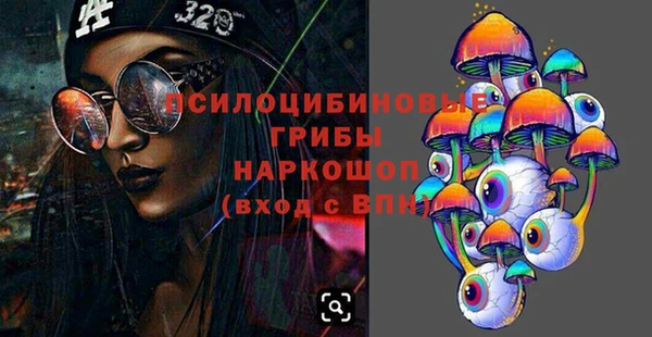 мдпв Абаза